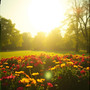 A Cheerful Day