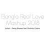 Bangla Real Love Mashup