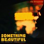 Something Beautiful (feat. Aishan Vali & Shreyas Iyengar)