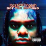 Not For Nothing (Explicit)