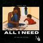 All I Need (feat. SBK Da Future) [Explicit]