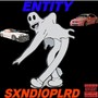 Entity (Explicit)