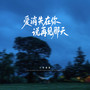 爱消失在你说再见那天