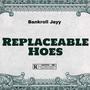 Replaceable Hoes (Explicit)