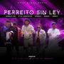 Perreito Sin Ley (feat. Jt El Científico, Andry Music, Yamall & Umaly)