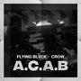 A.C.A.B. (feat. CROW MADEINHELL) [Explicit]