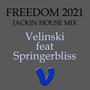 Freedom (feat. Springerbliss) [2021 Jackin' House Mix]