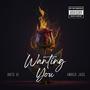 Wanting You (feat. Amber Jade)