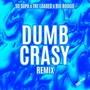 Dumb Crasy (Remix)