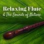 Relaxing Flute & The Sounds of Nature (Amazing Flute Music for Meditation Session, Spa, Massage, Sou