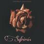 Sufriras (Explicit)