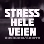 Stress Hele Veien