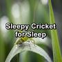 Sleepy Cricket for Sleep