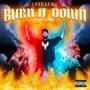 Burn It Down (Explicit)