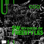 SW Freestyles (Explicit)