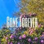 Gone Forever