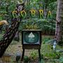 Cobra (Explicit)