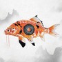 KOI