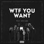 WTF You Want (Explicit)