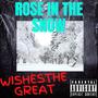 Rose In The Snow (Explicit)