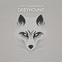 Greyhound