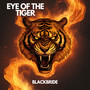 Eye of the Tiger (Tech House)