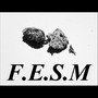 F.E.S.M (Explicit)