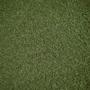 grass (Explicit)