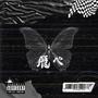 FLY (Explicit)