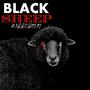 Black Sheep (Explicit)