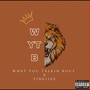 What You Talkin Bout (Explicit)