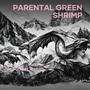 Parental Green Shrimp