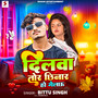 Dilwa Tor Chhinar Ho Gelau