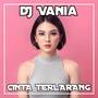 DJ Cinta Terlarang