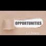 Opportunities (Explicit)