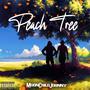 Peach Tree (feat. Damani & Asonhi Skyheart) [Explicit]