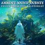 Ambient Sound Journey: Voices from the Kelpforest