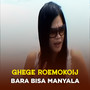 BARA BISA MANYALA