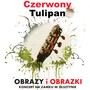 Obrazy i obrazki (Koncert na zamku w Olsztynie)