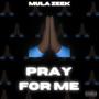 Pray For Me (Explicit)