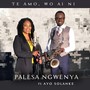 Te Amo Wo Ai Ni (feat. Ayo Solanke)