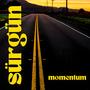 Momentum