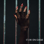 Cuir en cage