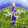 PSYCHE (Explicit)