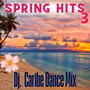 Spring Hits Vol. 3