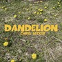 dandelion (Explicit)