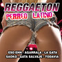 Reggaeton Perreo Latino