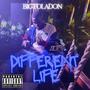 Diffrent Life (Explicit)