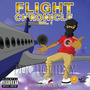 Flight Chronicle (Explicit)