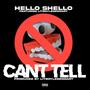 Can't Tell (feat. Litboy Legendary) [Explicit]